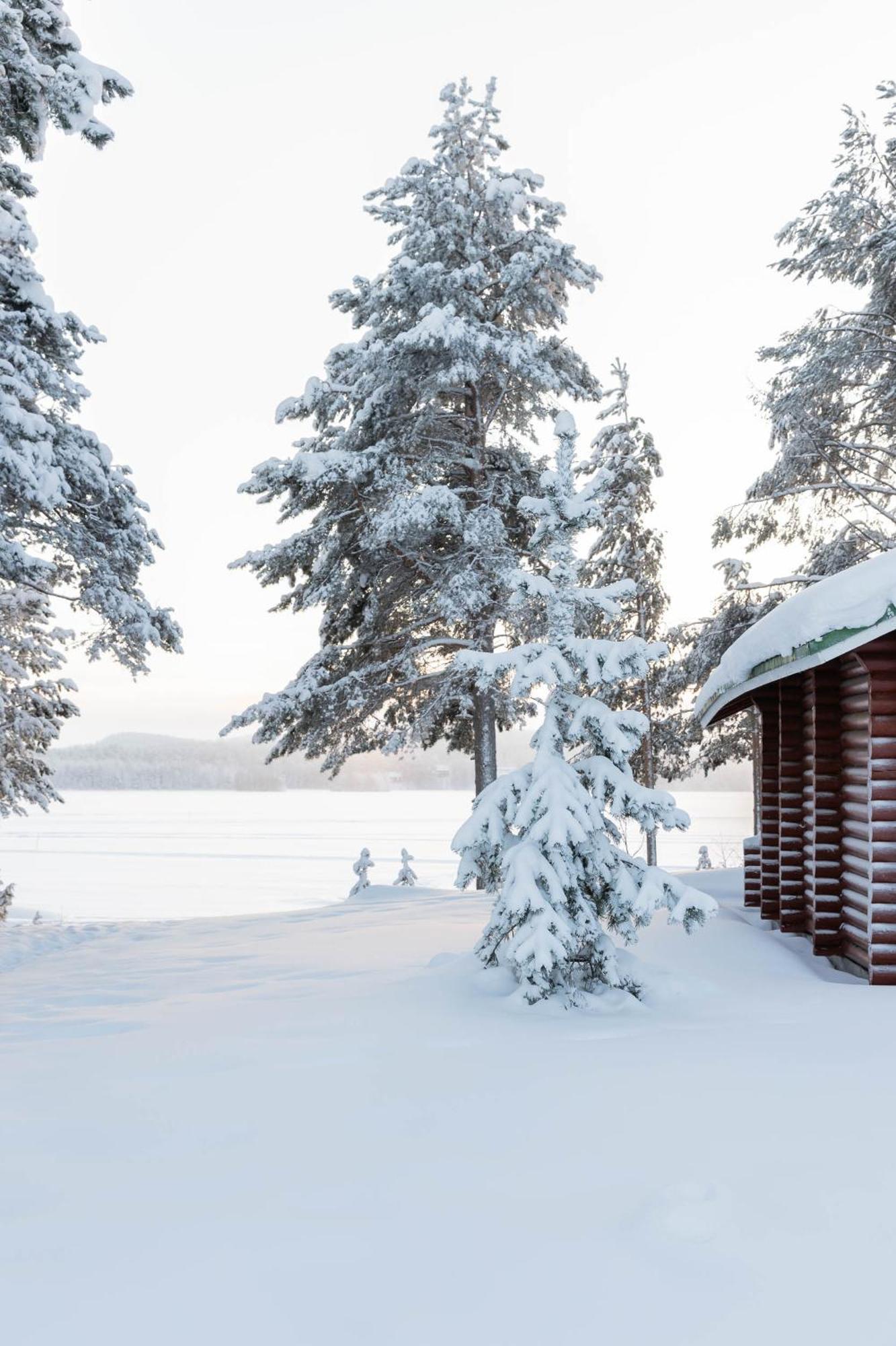 Lapland Arctic Cabins Kemijärvi Exterior photo