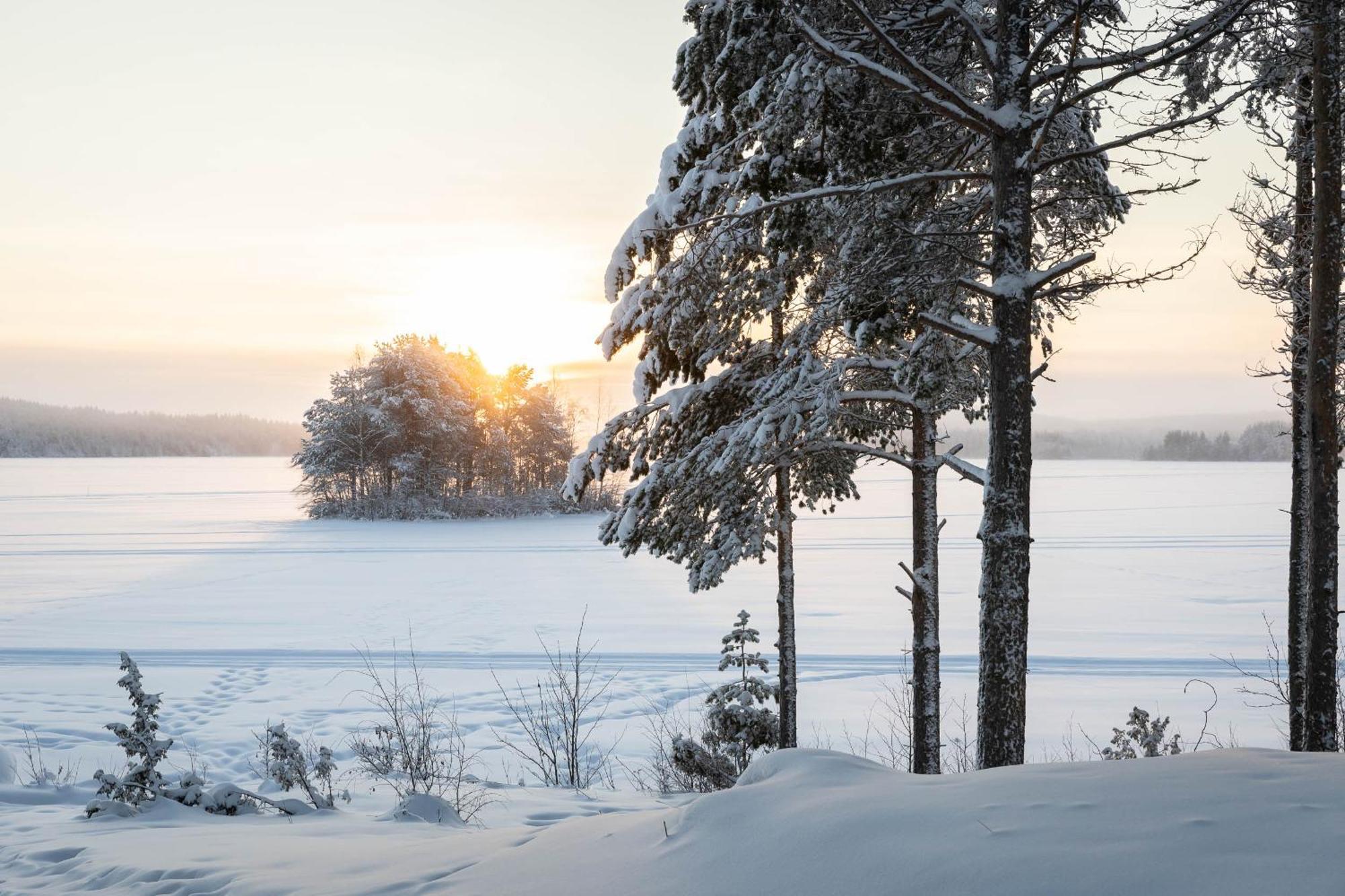 Lapland Arctic Cabins Kemijärvi Exterior photo